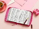 biblia-rvr60-035cz-pjr-i-piel-fucsia-floral-biblias-429.webp