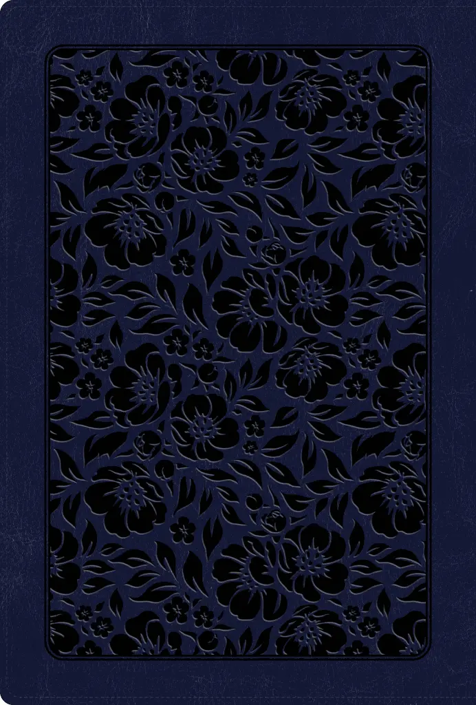 9798384525905_01.webp