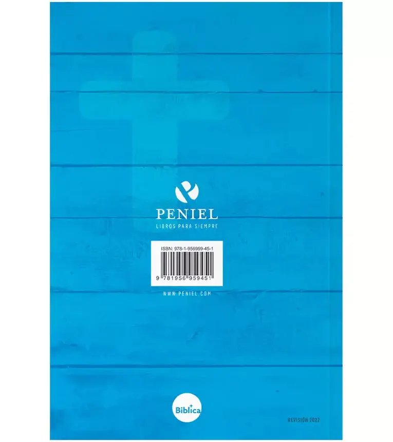 biblia-nvi-lg-22-azul_b_765x.progressive.webp.webp