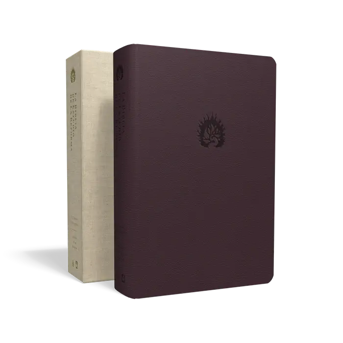 BER36S_combo_3d_x495_y330_700x.webp