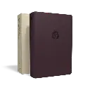 BER36S_combo_3d_x495_y330_700x.webp