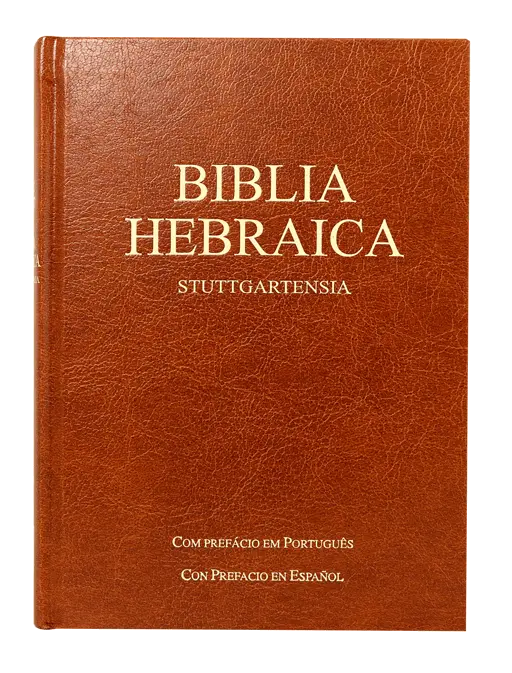 PORTADA (1).webp