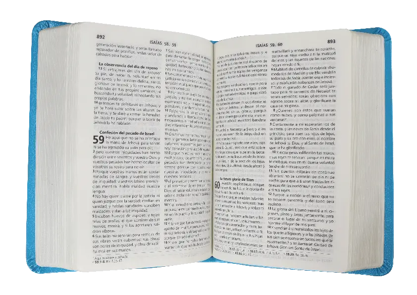 CONTENIDO (4).webp