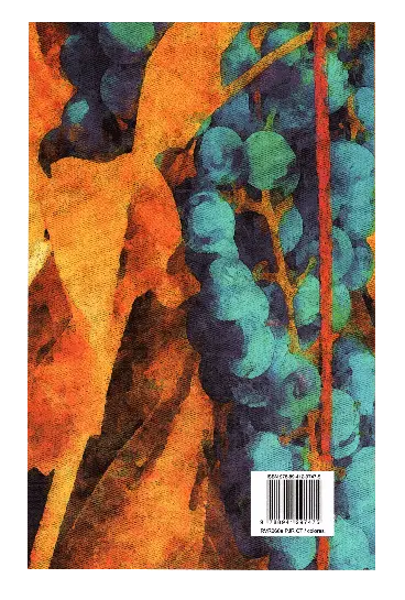 CONTRAPORTADA (5).webp