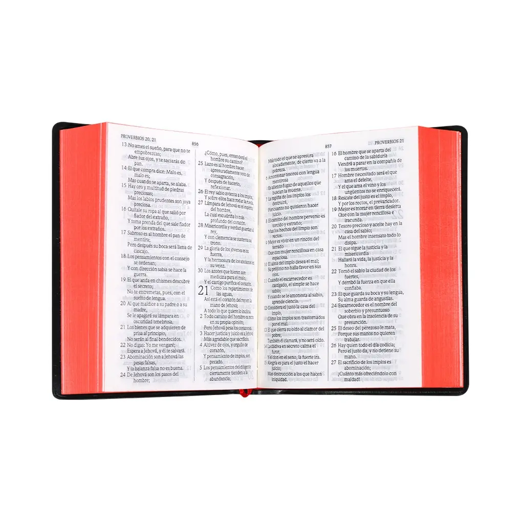 BIBLIA ABIERTA.webp