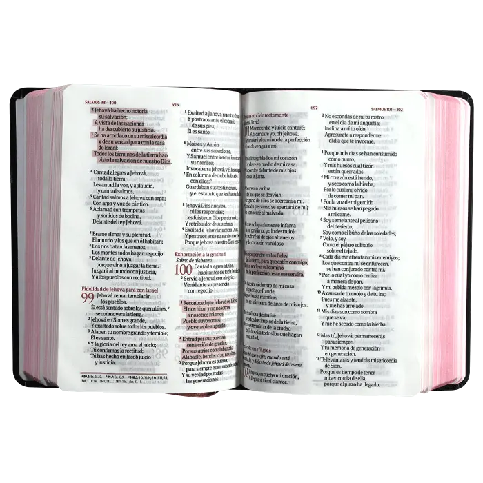 sociedad-biblica-biblia-fuente-de-bendiciones-rein (2).webp