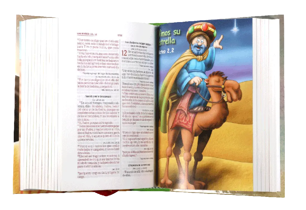 BIBLIA AMIGOS POR SIEMPRE RVR023cPLMPJR.webp