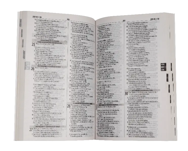 Biblia Misionera 500 Razones Reina Valera 1960 Mediana Letra Chica Tapa Rústica [RVR.webp