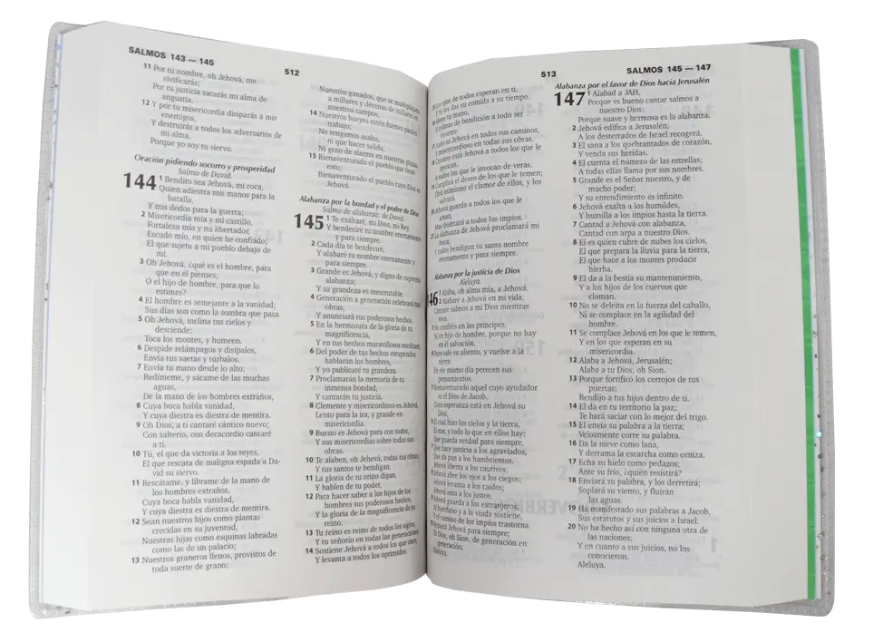 CONTENIDO (6).webp