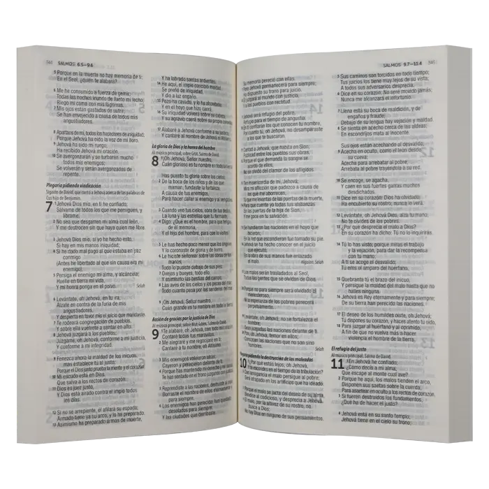 Biblia Misionera Reina Valera 1960 Mediana Letra Mediana Rústica Paloma [RVC.webp