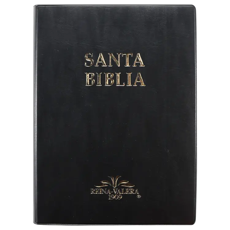Biblia Reina Valera 1909 Grande Negro [VR082LM] (1).webp
