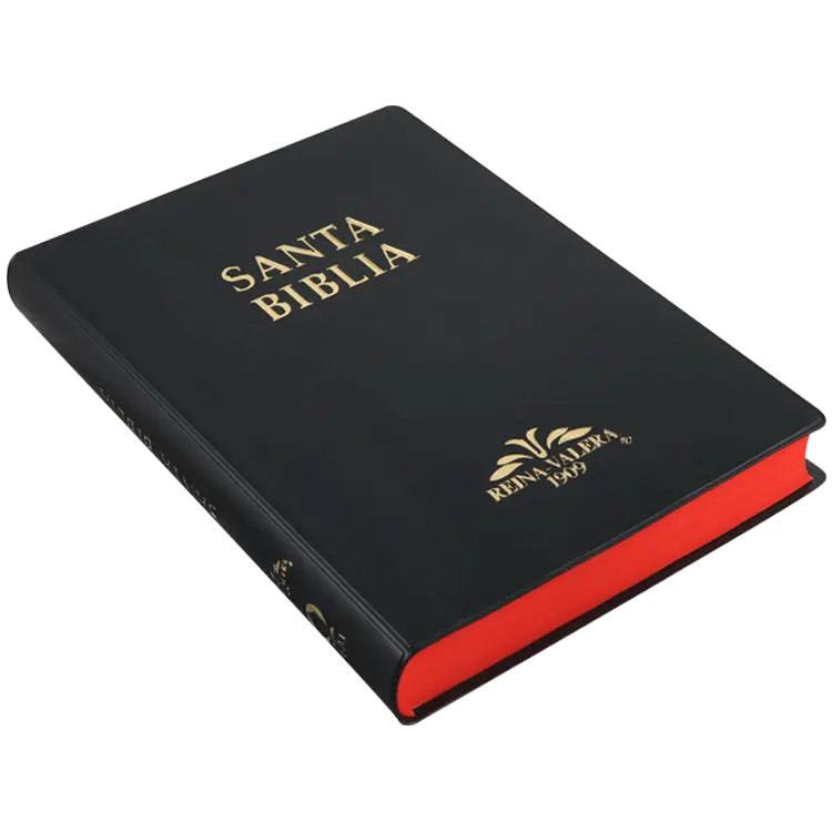 Biblia Reina Valera 1909 Grande Negro [VR082LM] (2).webp