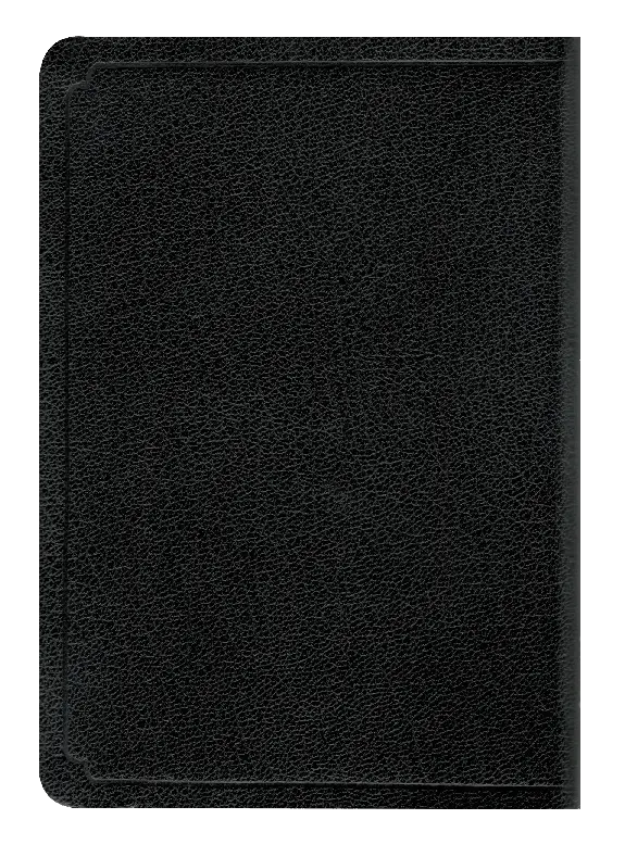 CONTRAPORTADA (10).webp