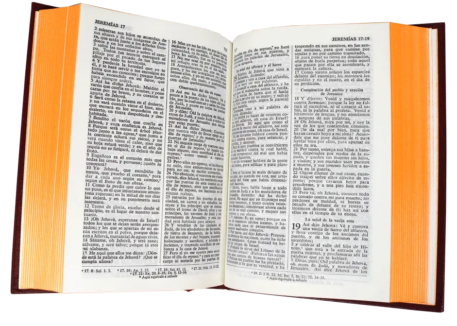 CONTENIDO (9).webp
