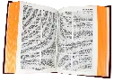 CONTENIDO (9).webp