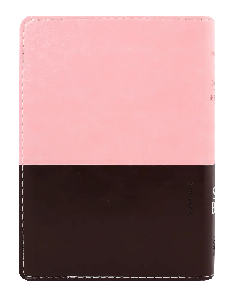 CONTRAPORTADA (12).webp