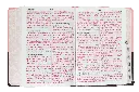 CONTENIDO (10).webp