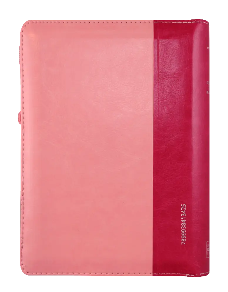 CONTRAPORTADA (13).webp