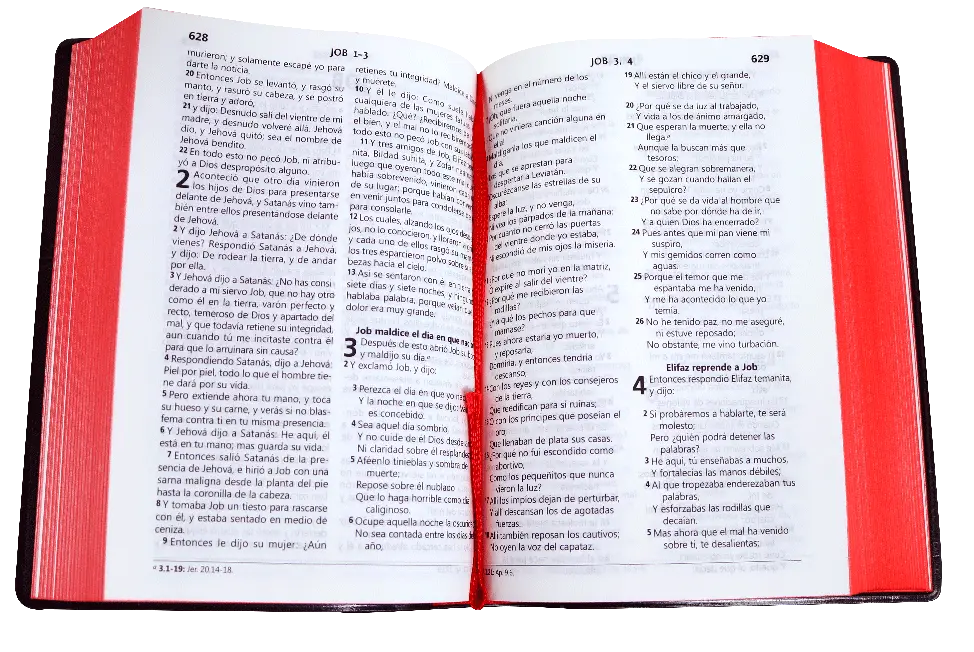 CONTENIDO (11).webp