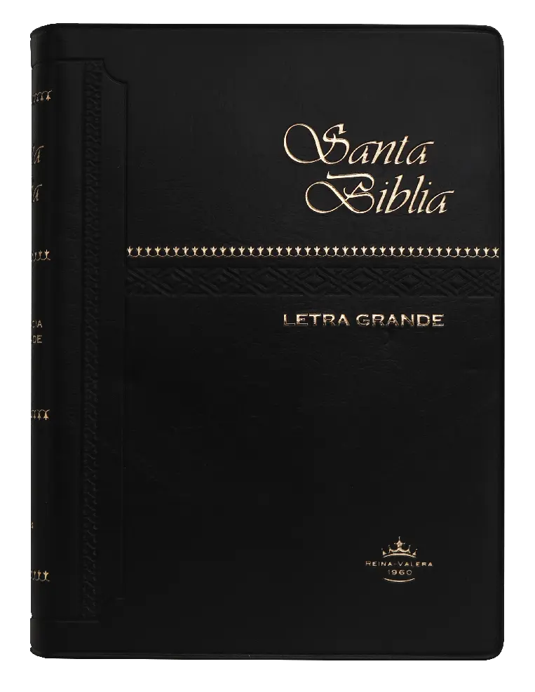 PORTADA (12).webp