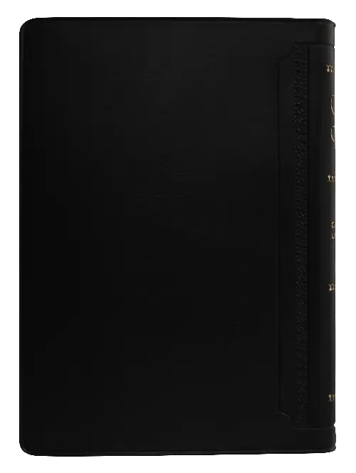 CONTRAPORTADA (14).webp