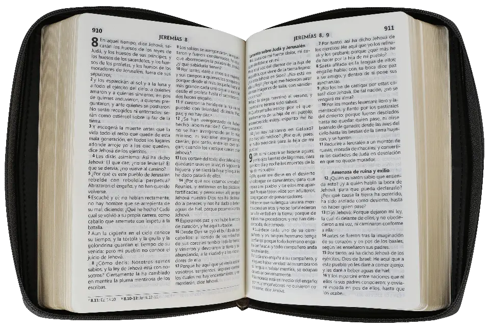 CONTENIDO (12).webp