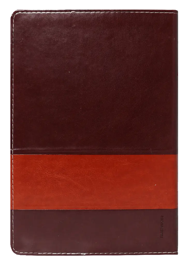 CONTRAPORTADA (4).webp