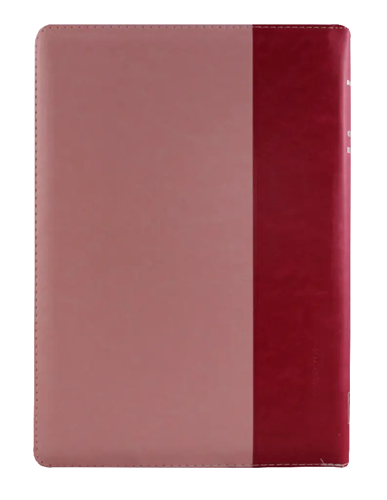 CONTRAPORTADA (3).webp