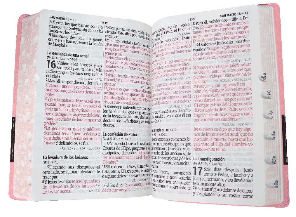 BIBLIA RVR086cLSGiTIPJR ROSA (2).webp