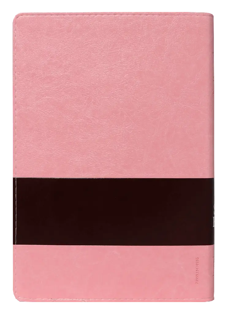 BIBLIA RVR086cLSGiTIPJR ROSA (1).webp