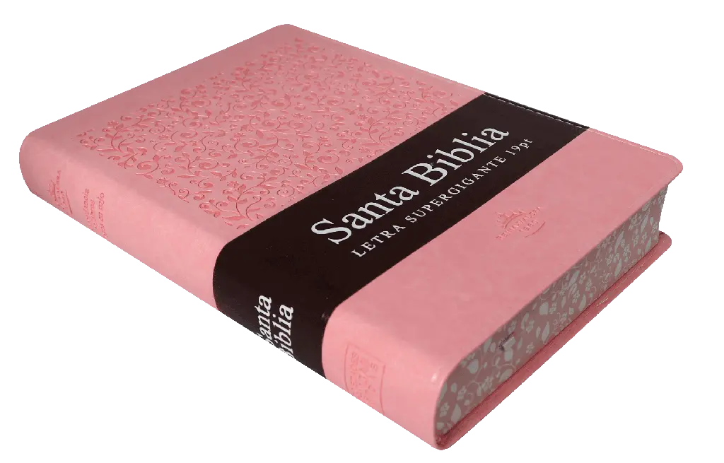 BIBLIA RVR086cLSGiTIPJR ROSA (3).webp