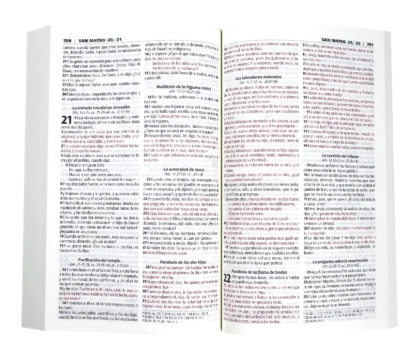 Biblia Reina Valera 1960 Mediana Letra Chica Rústica [RVRePJR SC].webp