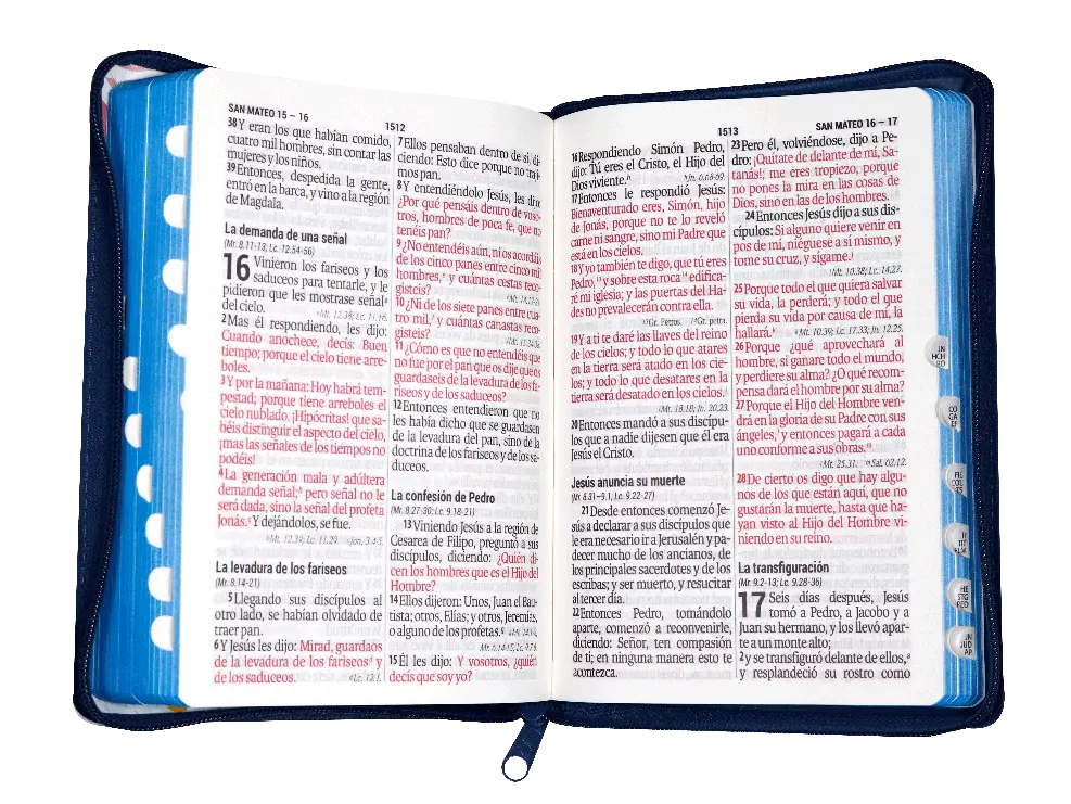 Biblia Reina Valera 1960 Mediana Letra Gigante Imitación Piel Azul Flores [RVR066ZLGiPJR].webp