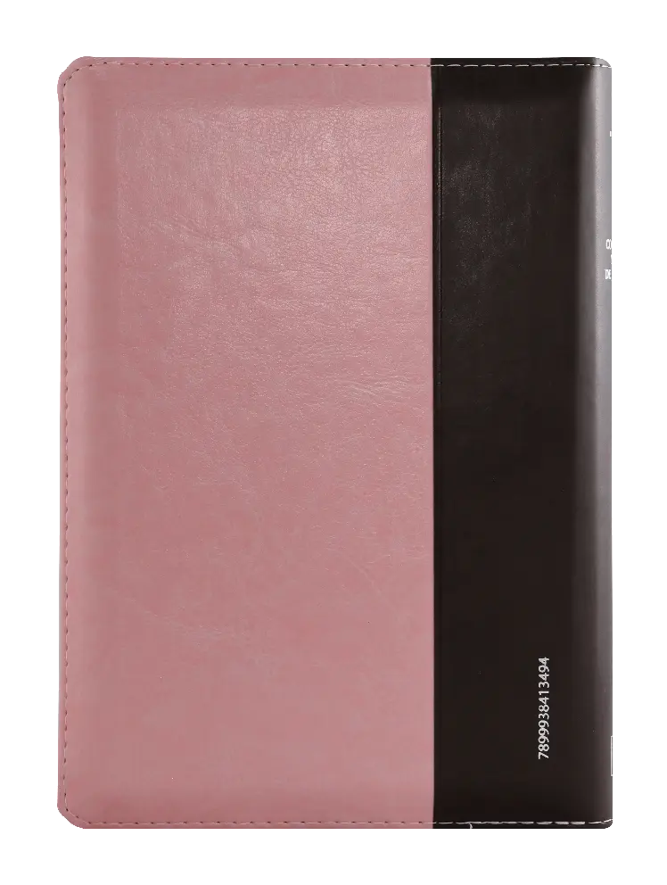 CONTRAPORTADA (5).webp