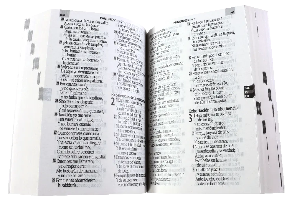 Biblia Reina Valera 1960 Mediana Letra Gigante Rústica (RVR60ecLGiPJR).webp