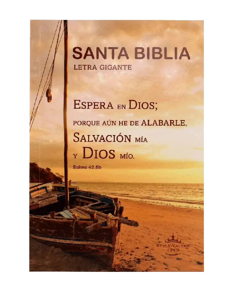 Biblia Reina Valera 1960 Mediana Letra Gigante Rústica (RVR60ecLGiPJR) (1).webp