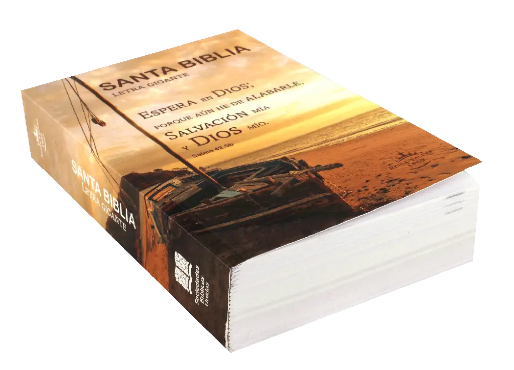 Biblia Reina Valera 1960 Mediana Letra Gigante Rústica (RVR60ecLGiPJR) (2).webp