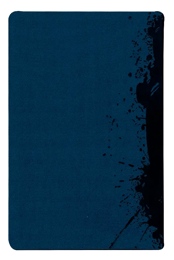 CONTRAPORTADA.webp