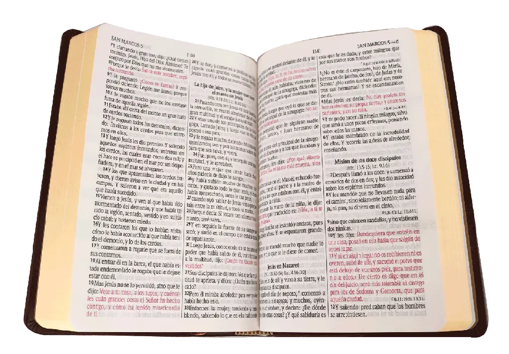 CONTENIDO (1).webp