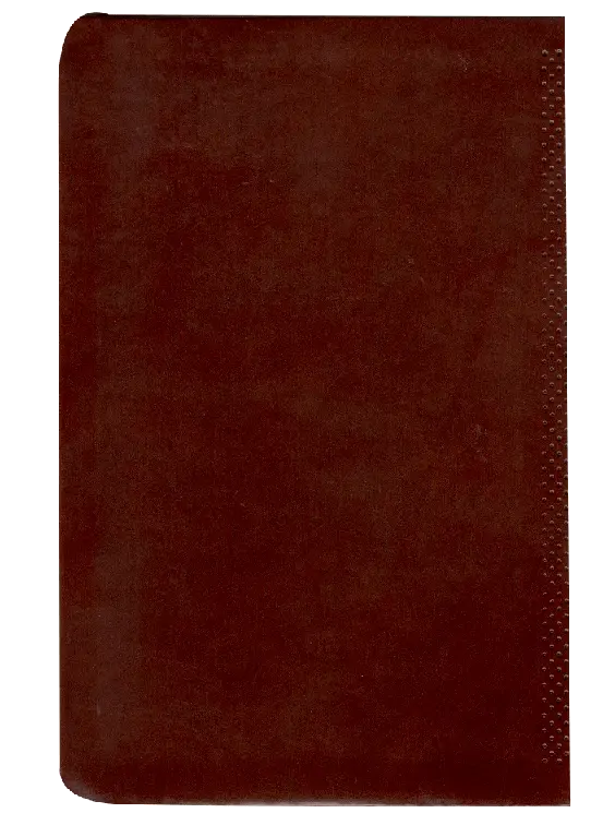 CONTRAPORTADA (1).webp