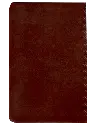 CONTRAPORTADA (1).webp
