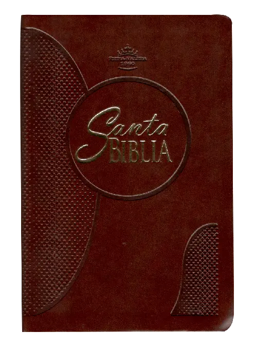 PORTADA (1).webp