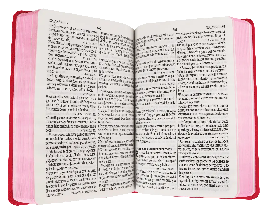 CONTENIDO (2).webp