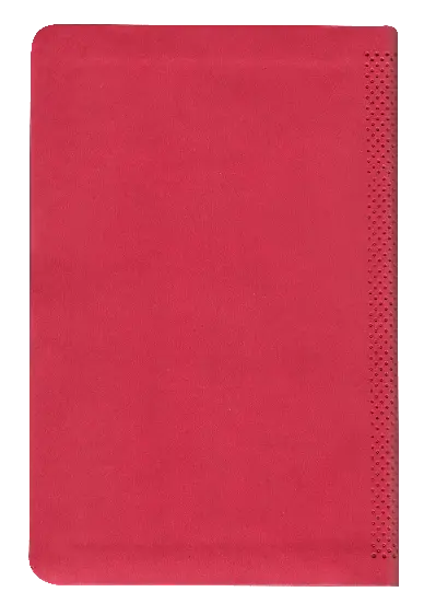 CONTRAPORTADA (2).webp