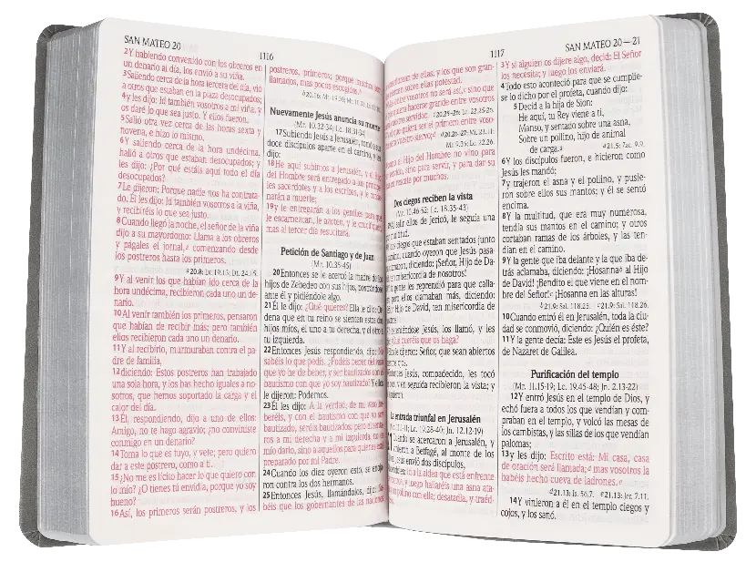 CONTENIDO (3).webp