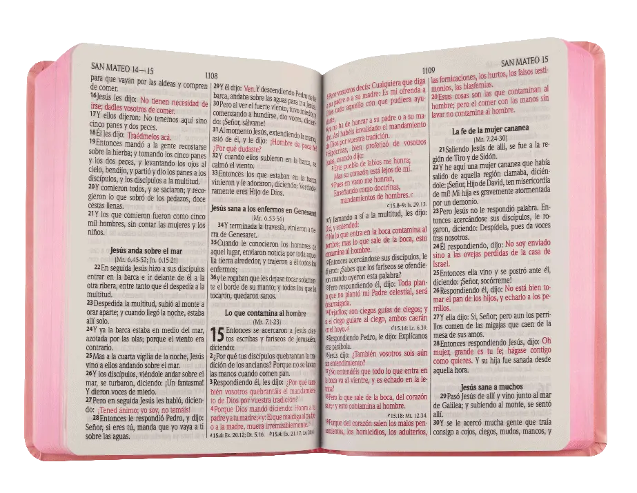 CONTENIDO (4).webp