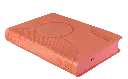 PERFIL (4).webp