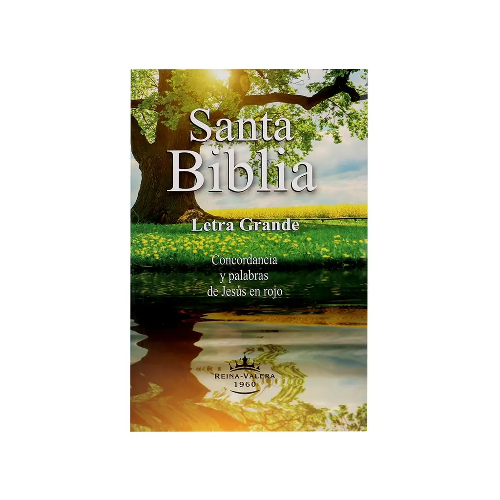 PORTADA (1).webp