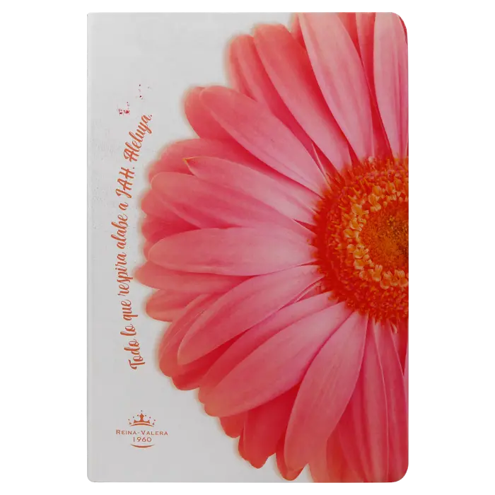 Biblia Reina Valera 1960 Mediana Letra Grande Tapa Semiflexible Flor Rosa [RVR (1).webp