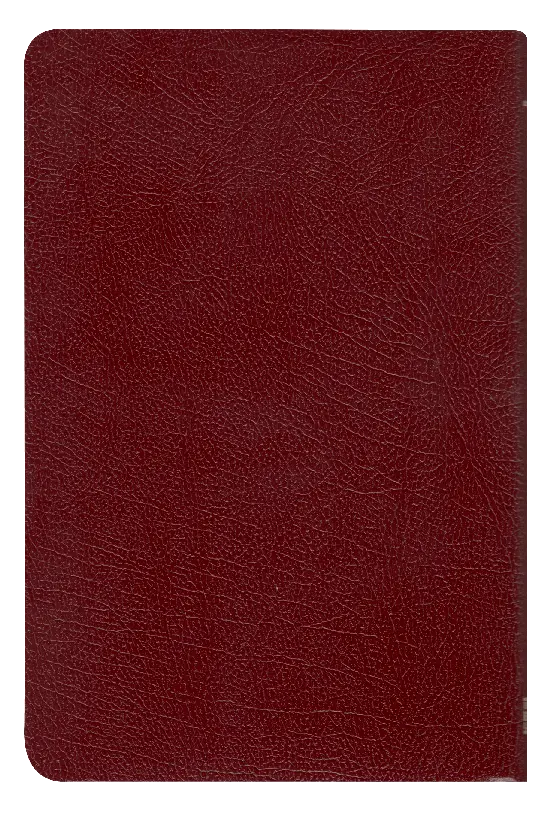 CONTRAPORTADA (5).webp